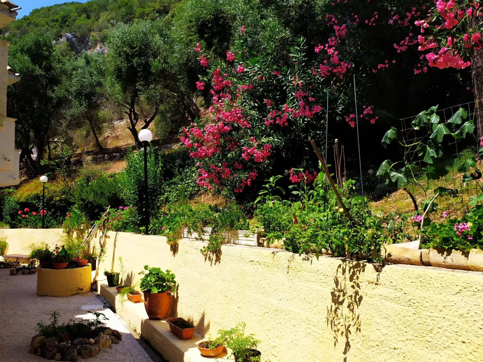 Fantastischer Meerblick-Buiten