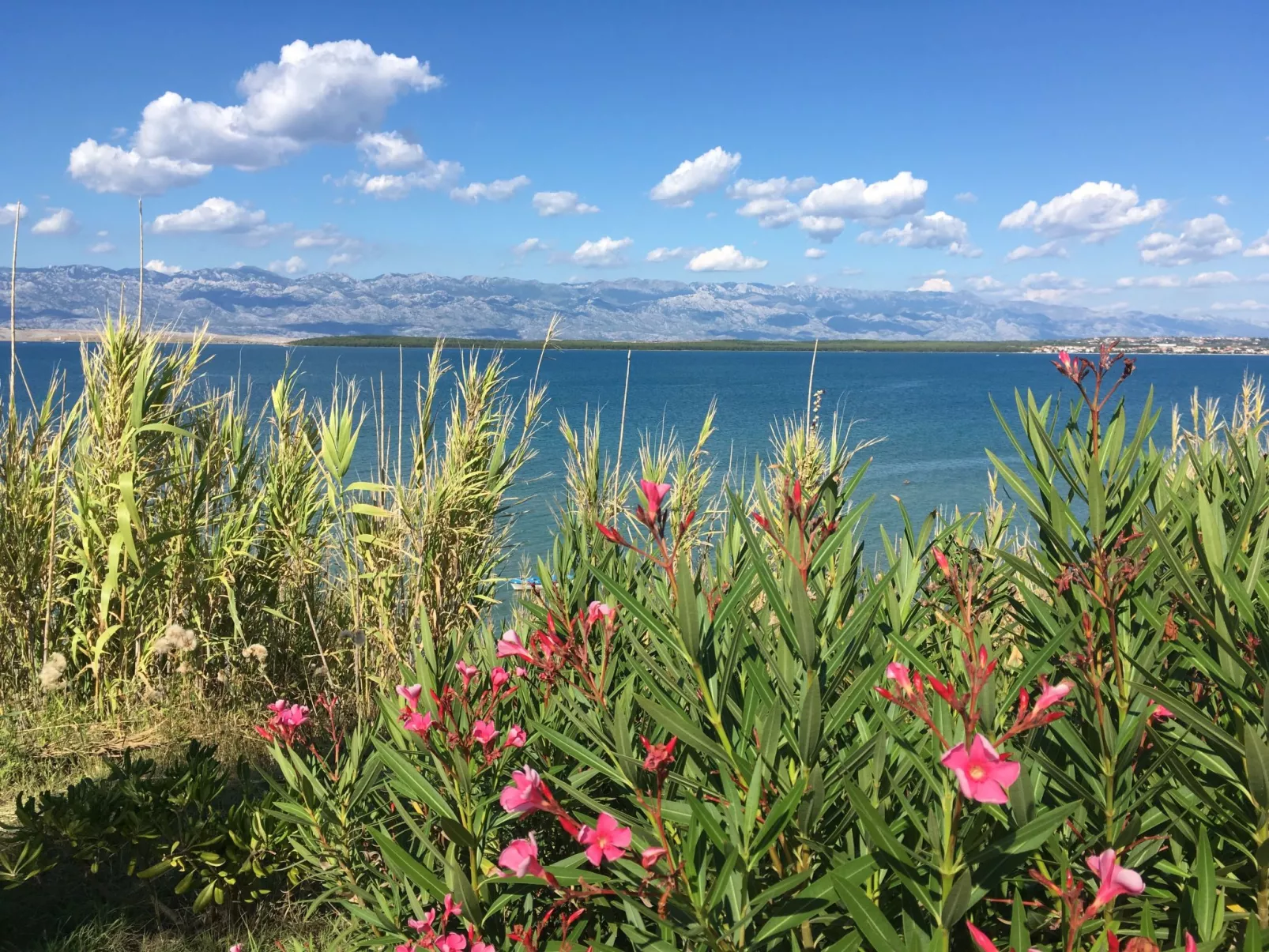 Appartement Kristi in Strandnähe - Agentur TA Leut-Buiten