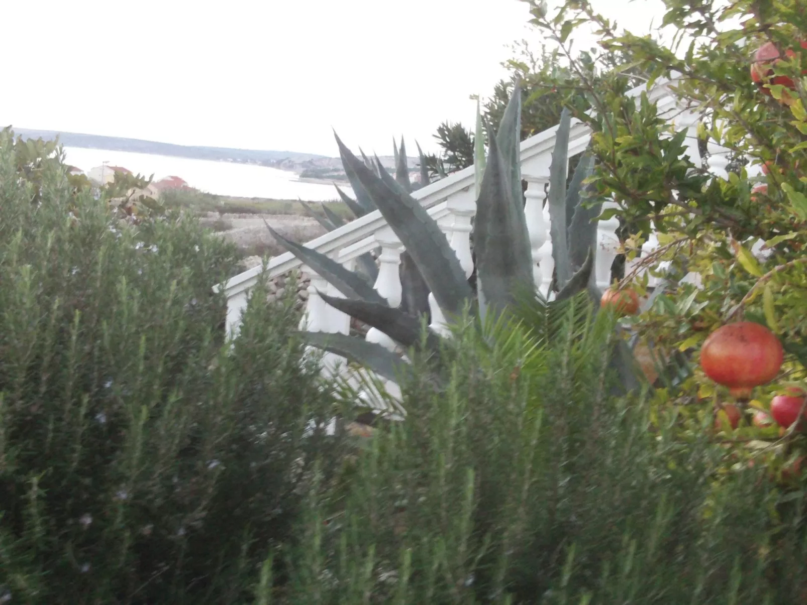 Apartment mit Meerblick-Buiten