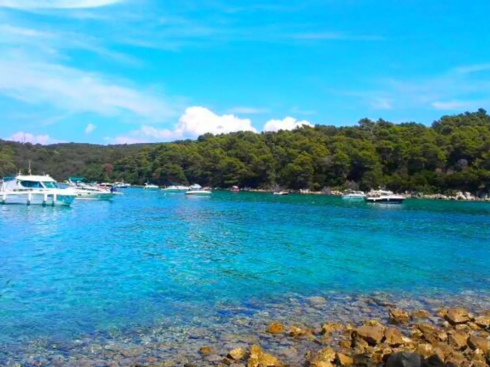 "Waldhaus" in der Nähe des Strandes-Image-tags.info