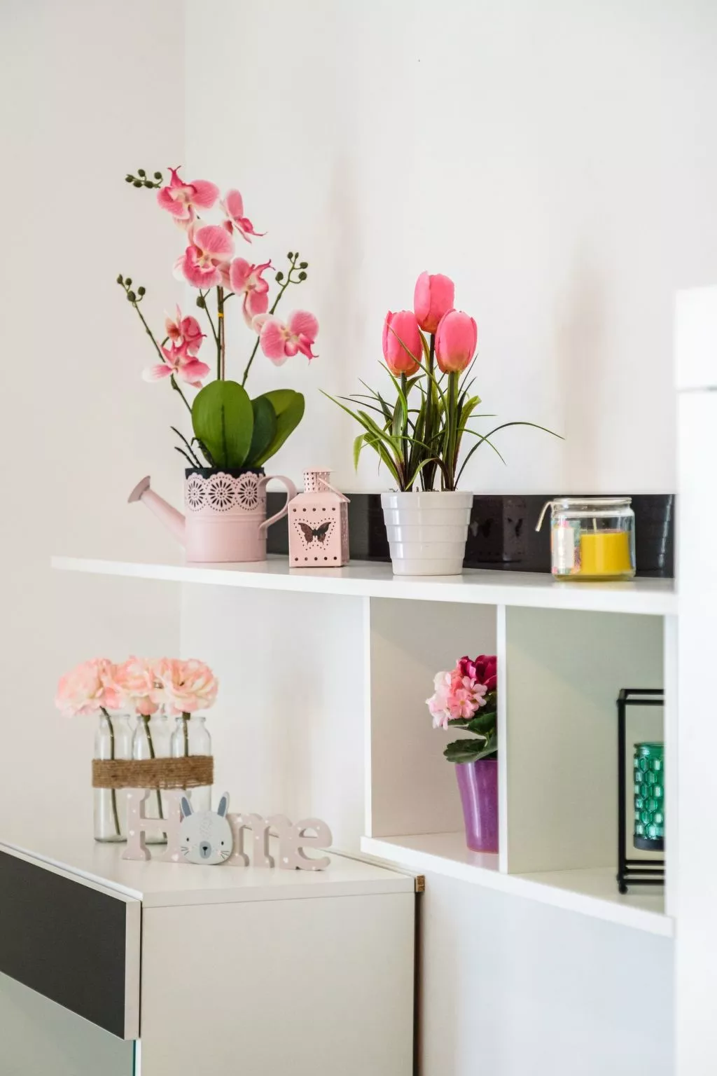 Wohnung "Ankora" mit Blick auf das Wasser-Image-tags.info