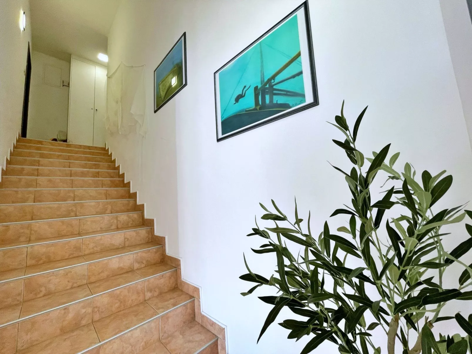 Apartment Neptun-Image-tags.info