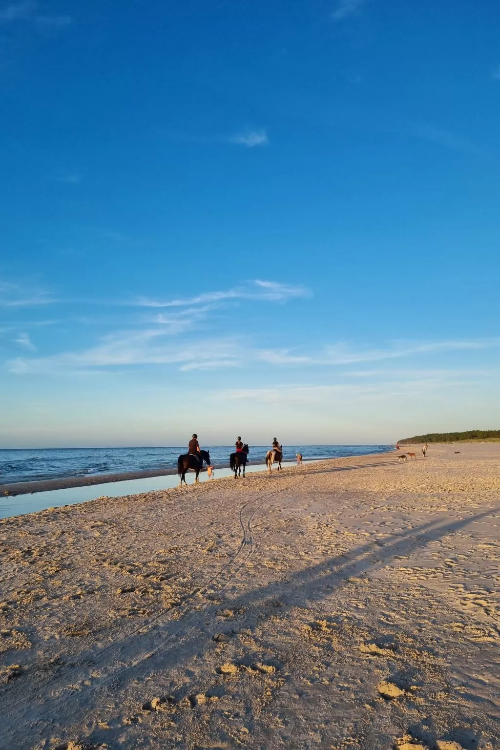 Lublewo21 Ferienhäuser - Buiten