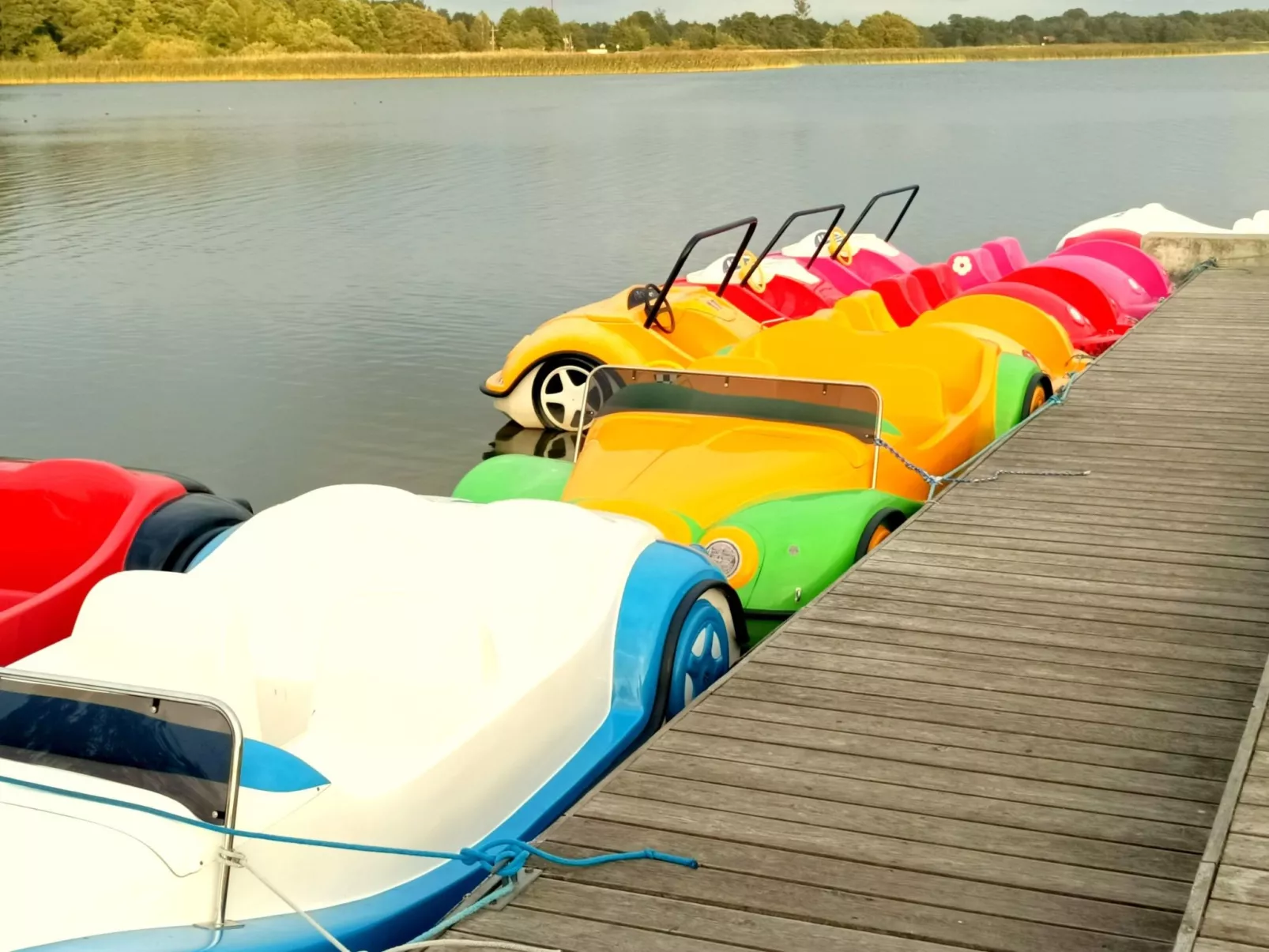 "Paradise Star Bobolin"-Buiten