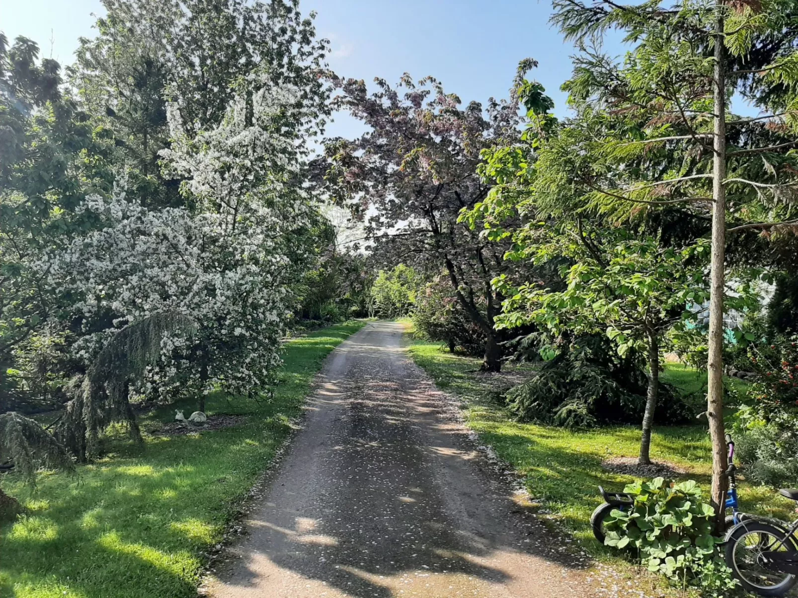 Meeresdorf Stille - Ferienhäuser in den Gärten von Magra-Buiten