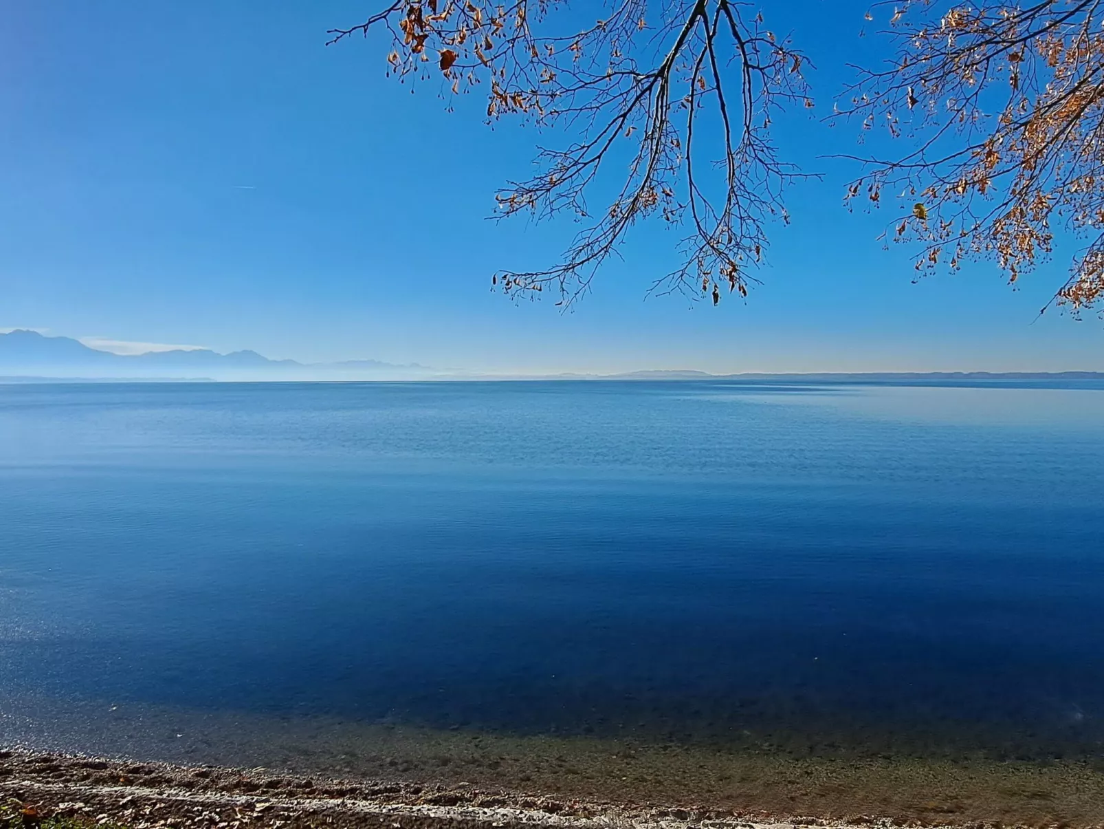 Studio Blockhaus-Buiten