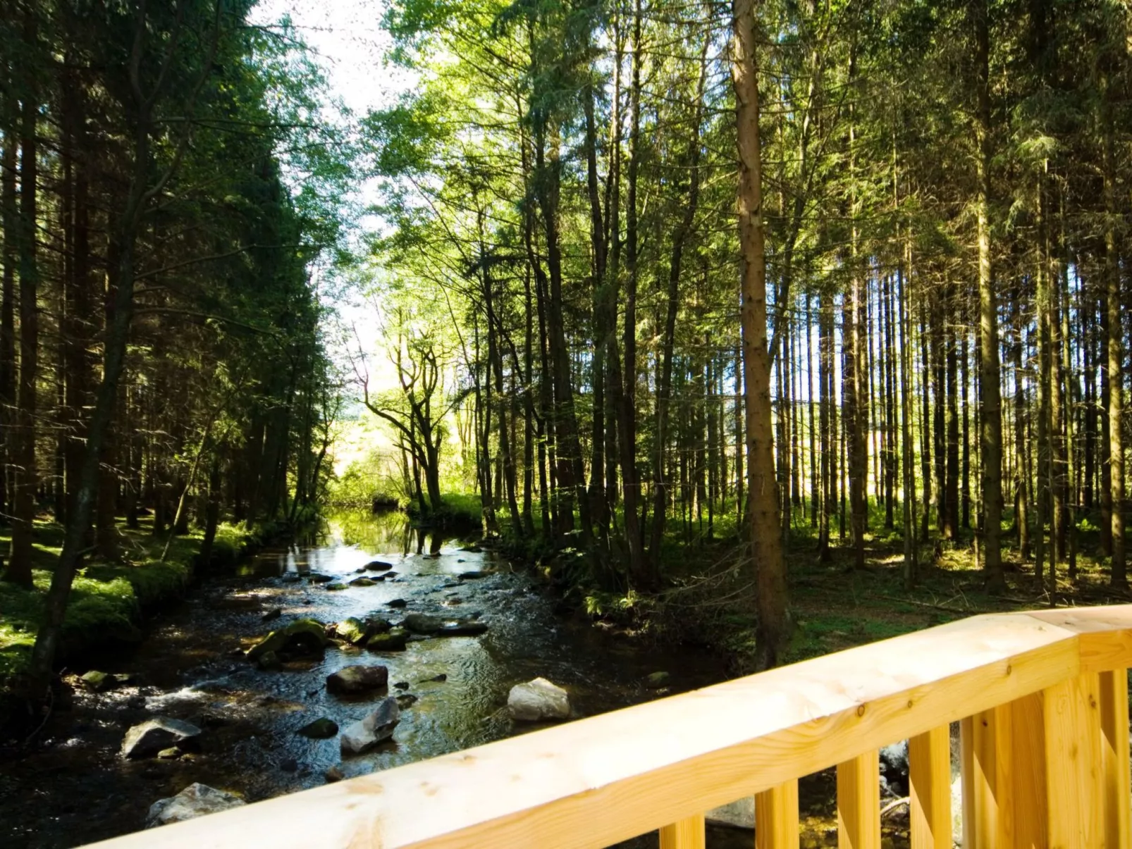 Exklusive Ferienwohnung mit eigener Sauna-Buiten