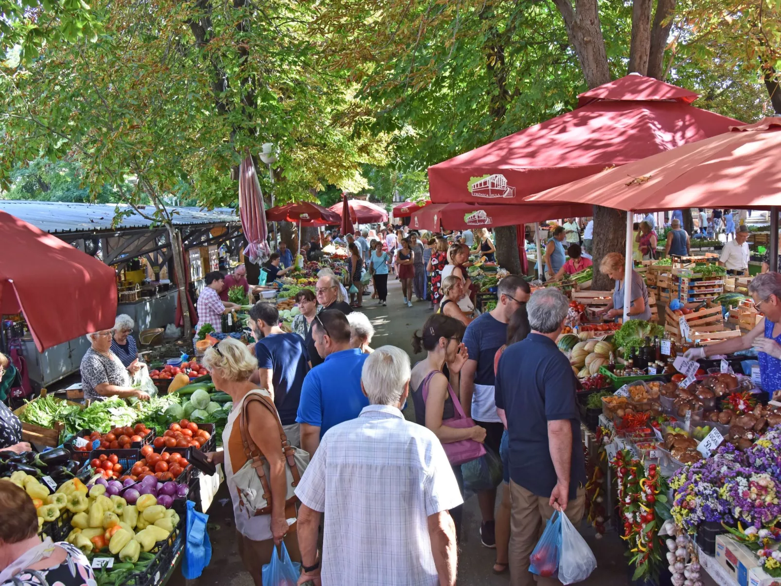 Summerhouse Pula-Buiten