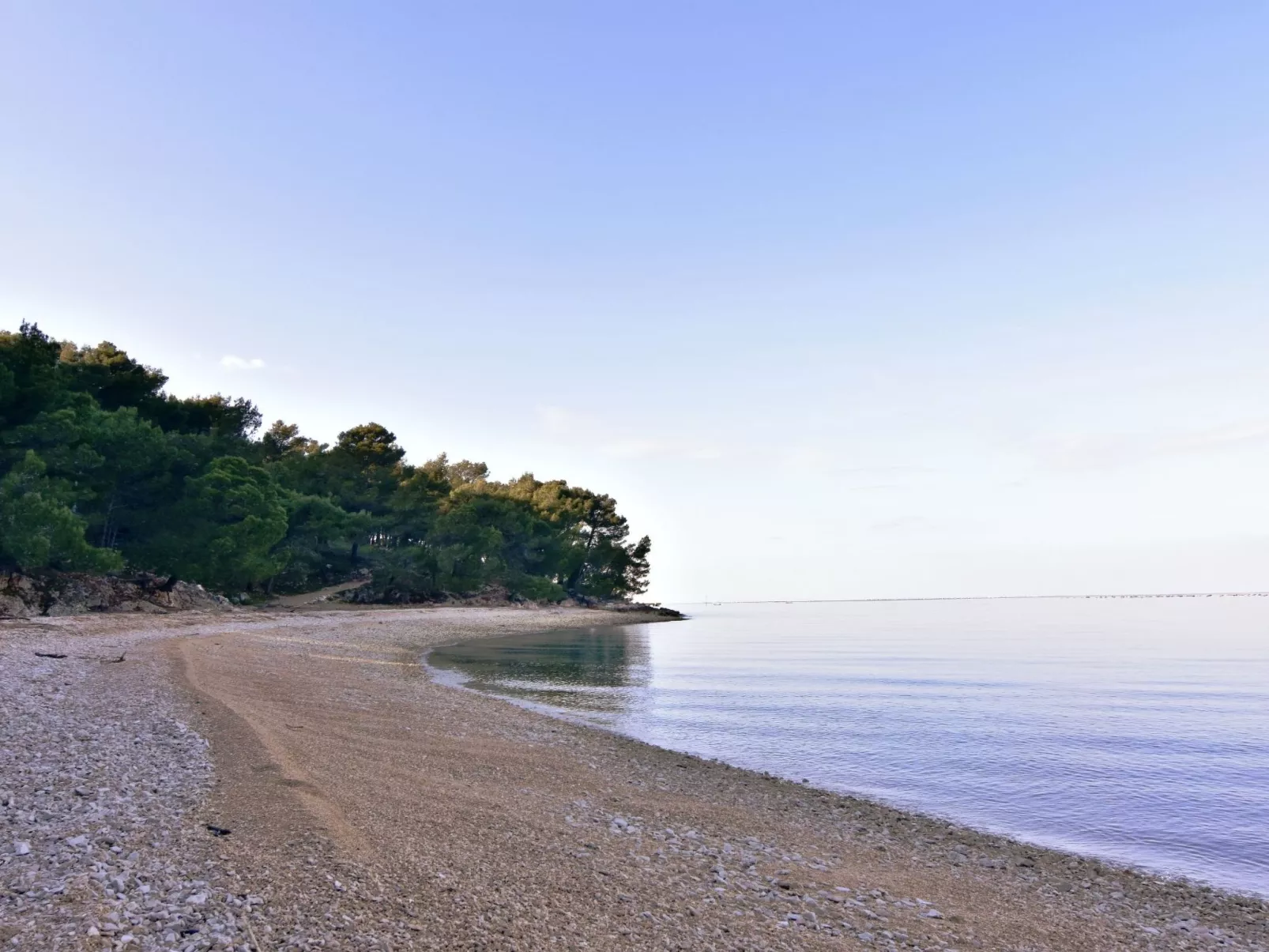 ALBINA STUDIO 5 - Image-tags.info