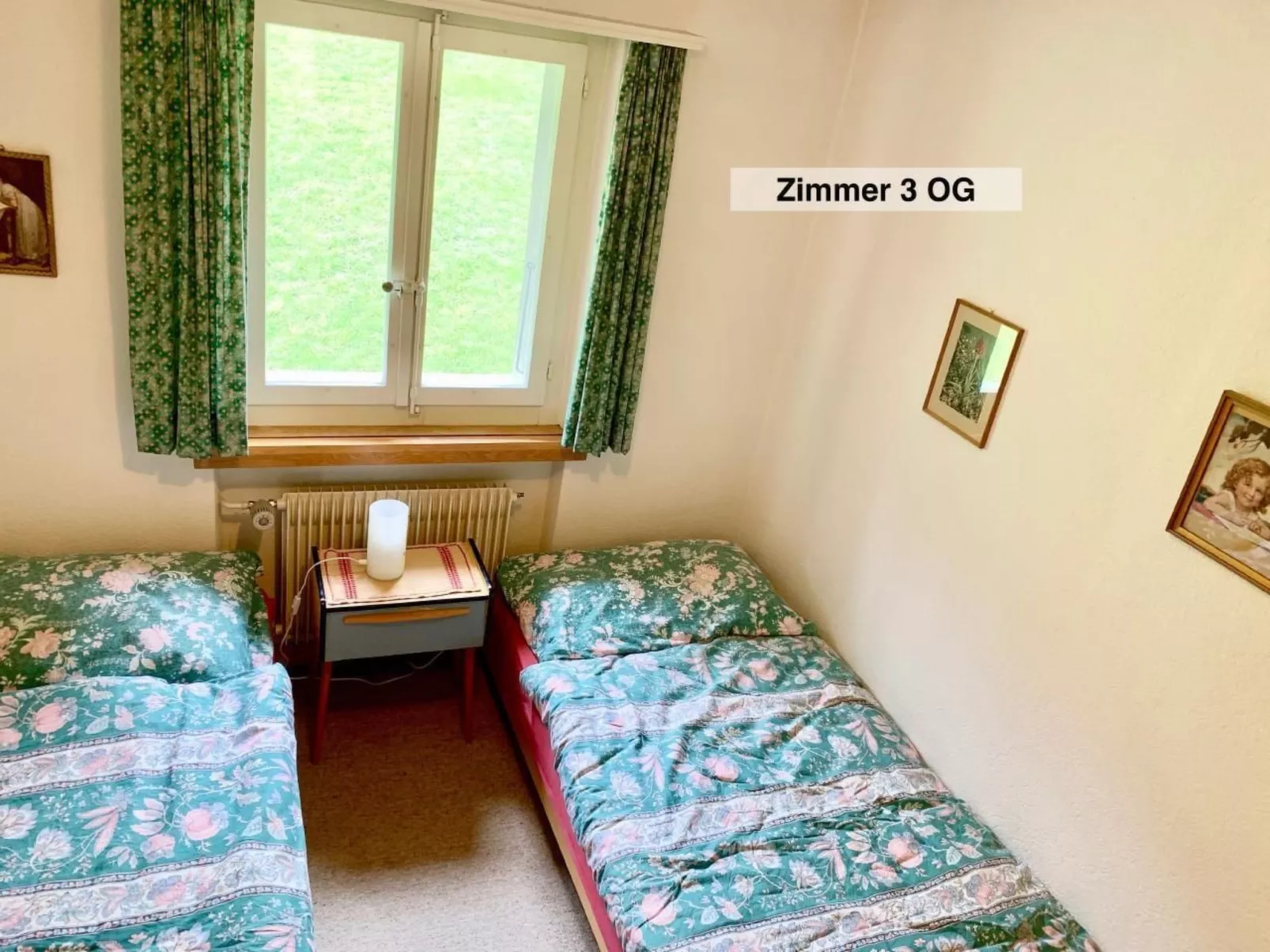 Panorama Adelboden-Binnen