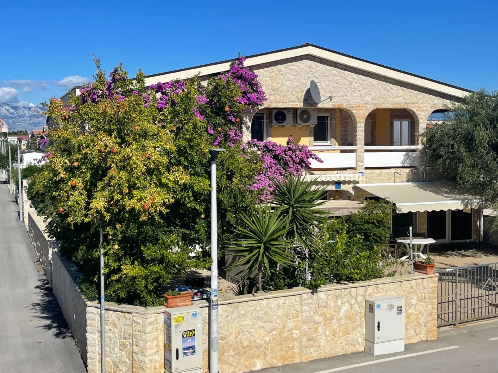 Delfin-Image-tags.info