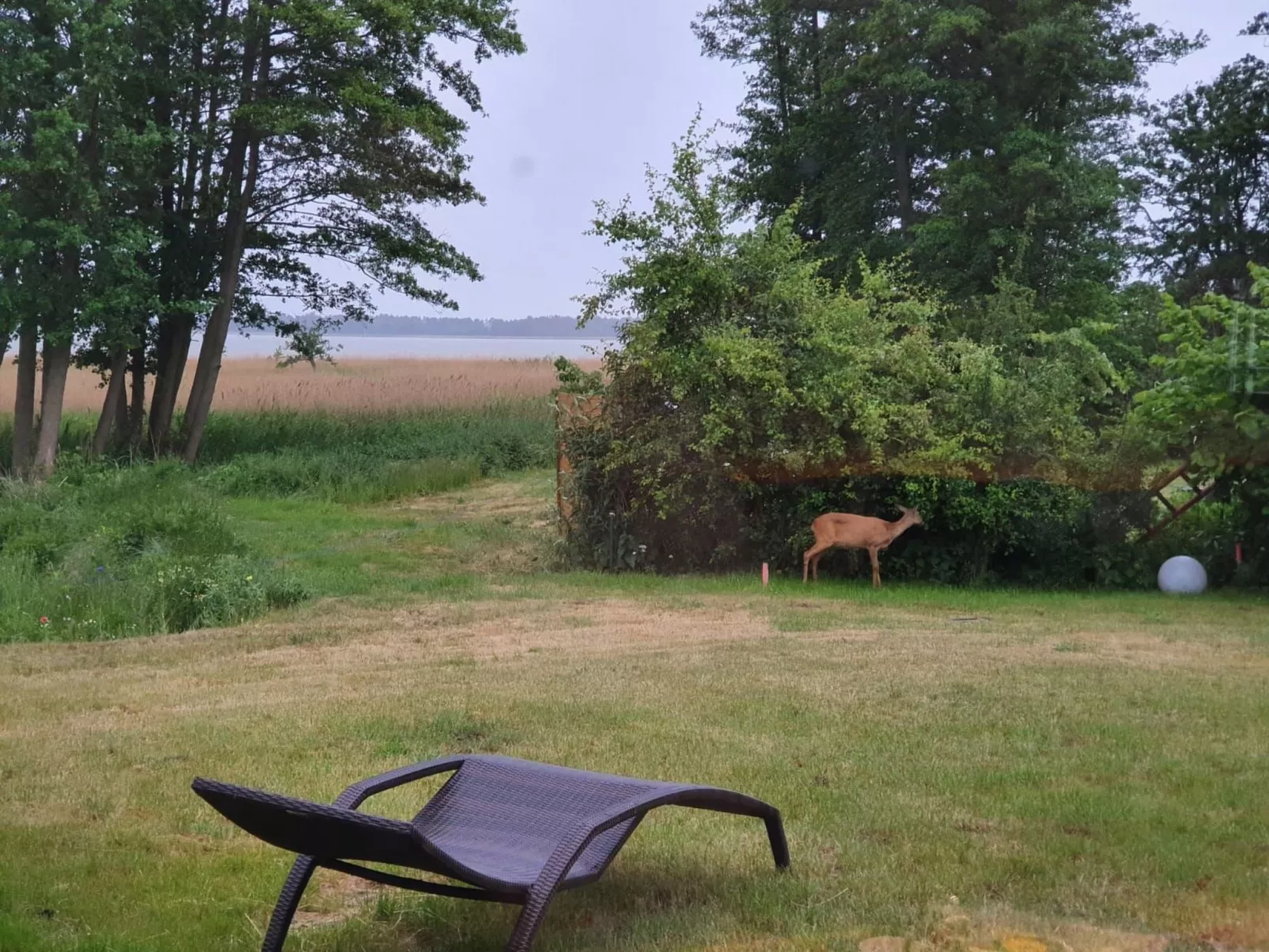 Admiral's Corner Lee-Buiten