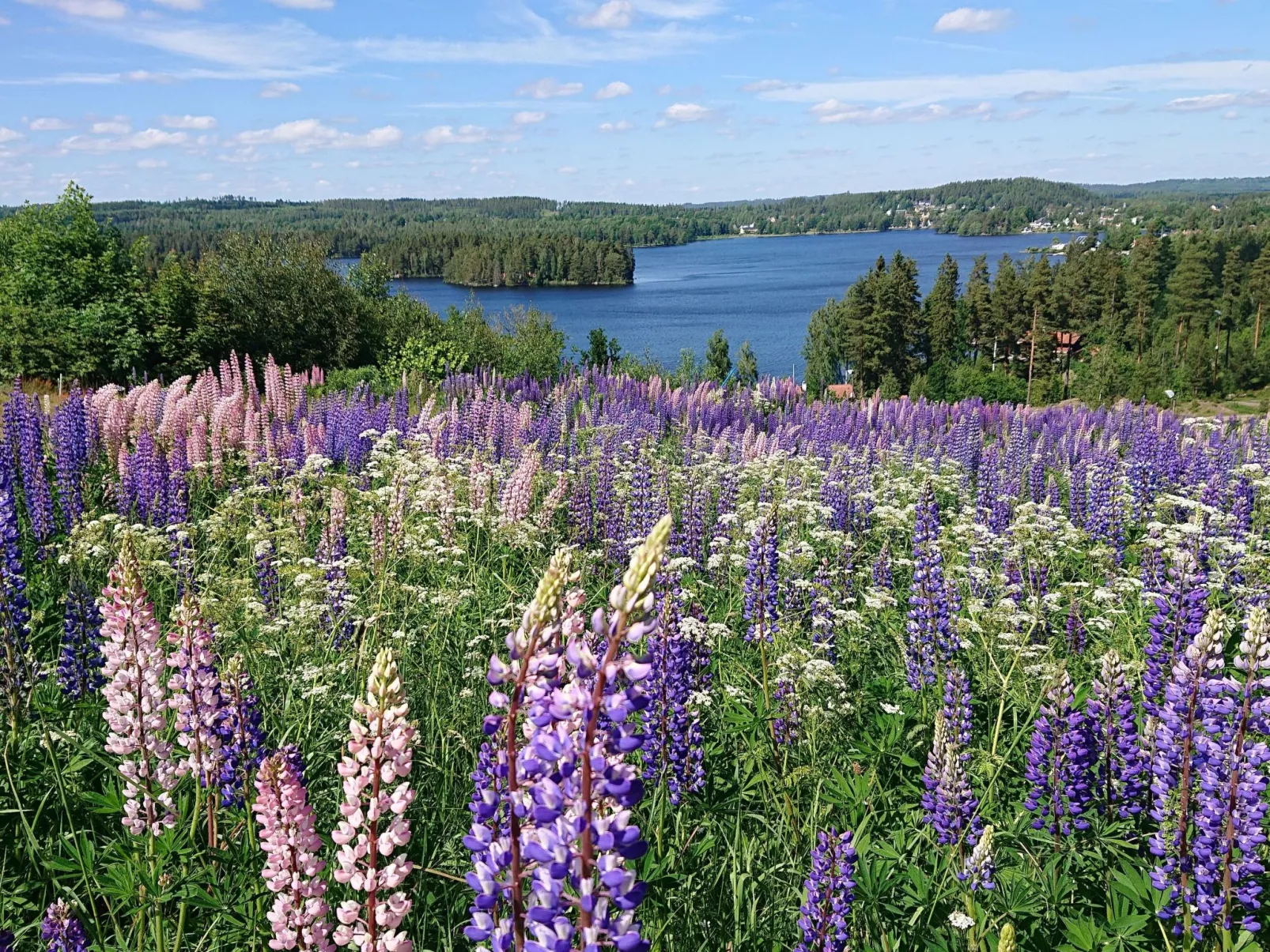 Familienfreundliches Ferienhaus mit großem Garten-Image-tags.info