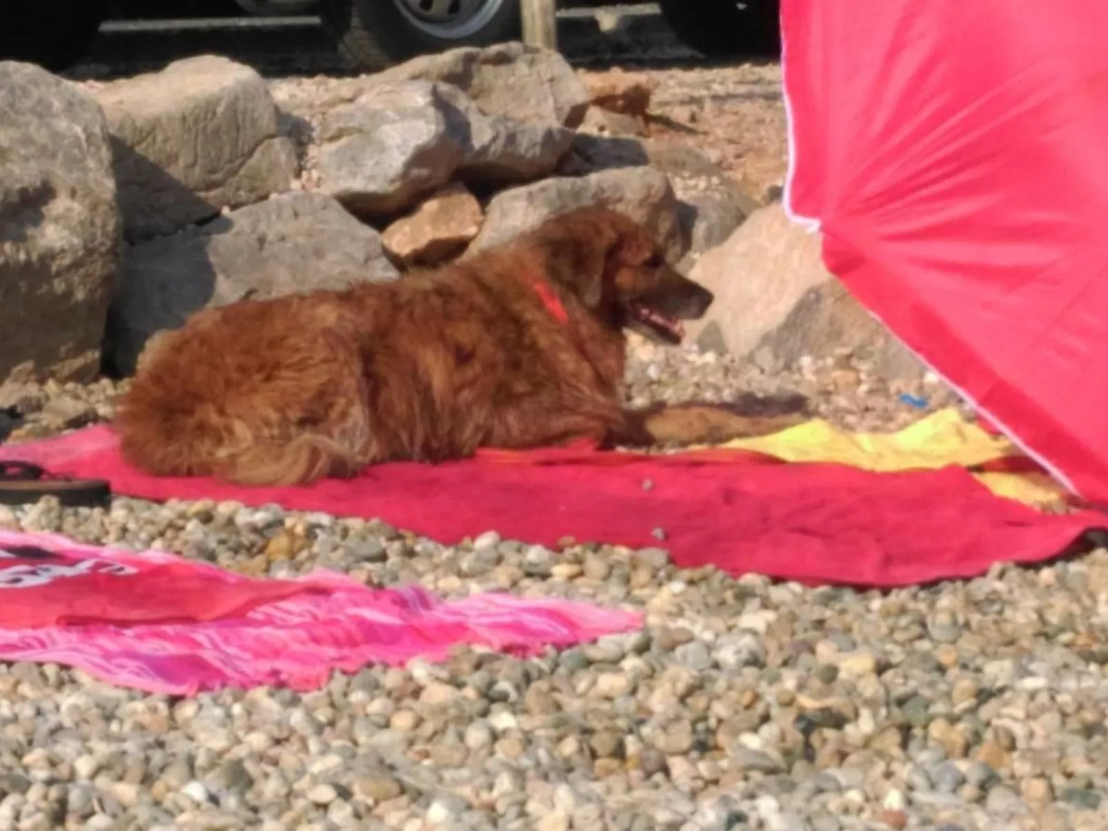 Wohnung in Rijeka mit Terrasse und Grill-Buiten