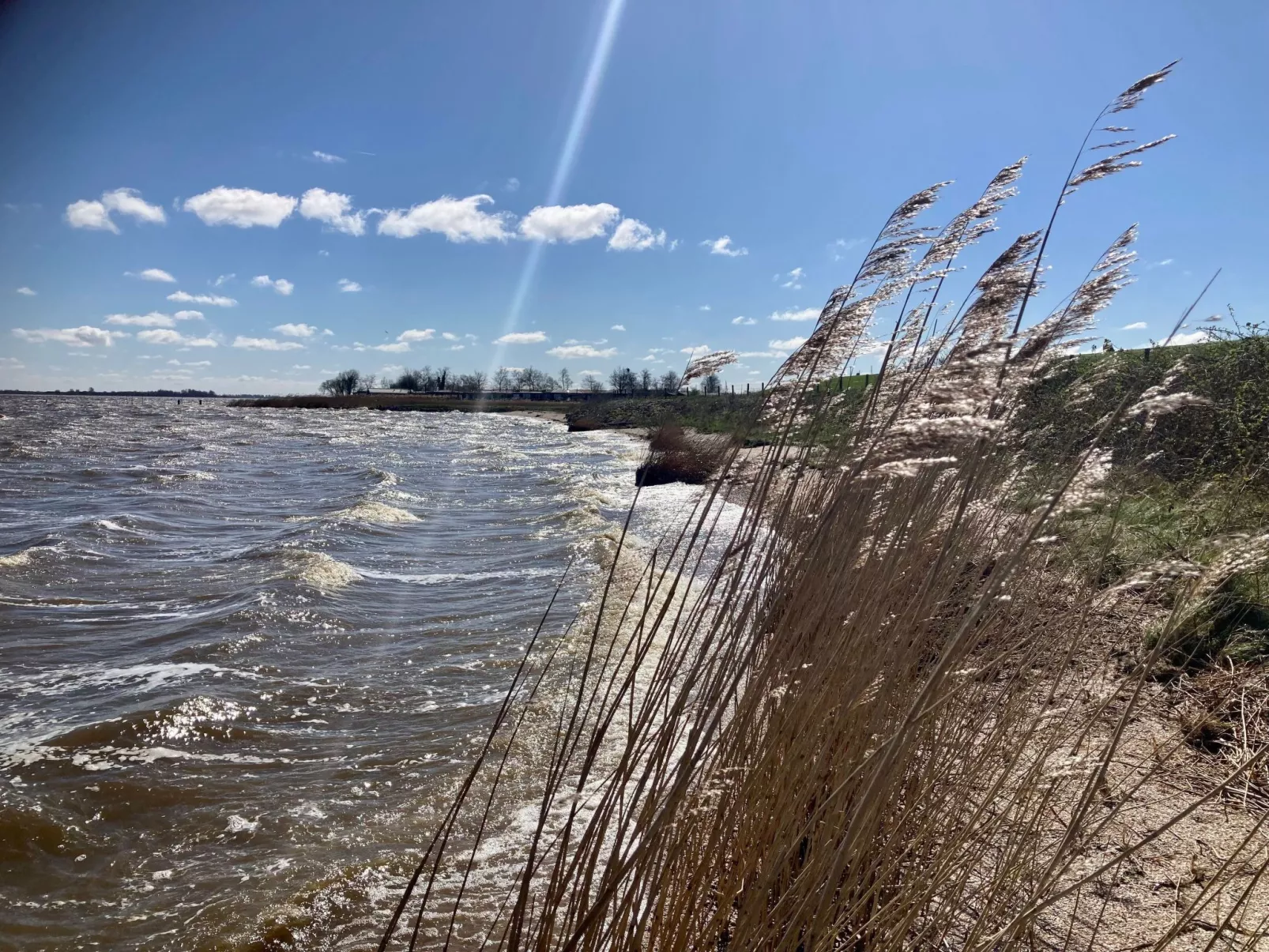 Haus Sonnenschein mit Blick auf das Lauwersmeer-Buiten