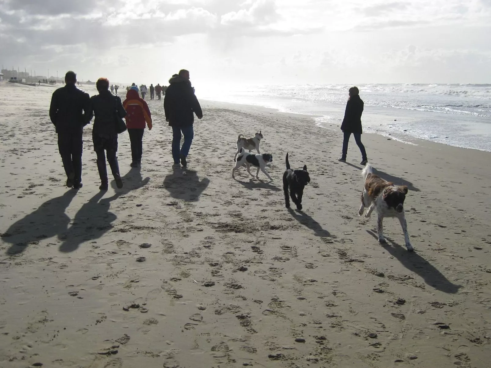 Jazz, Noordwijk aan Zee-Buiten