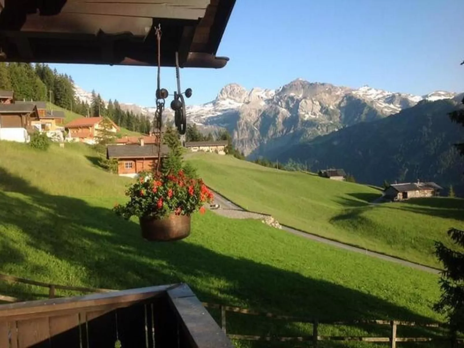 Datscha-Image-tags.info