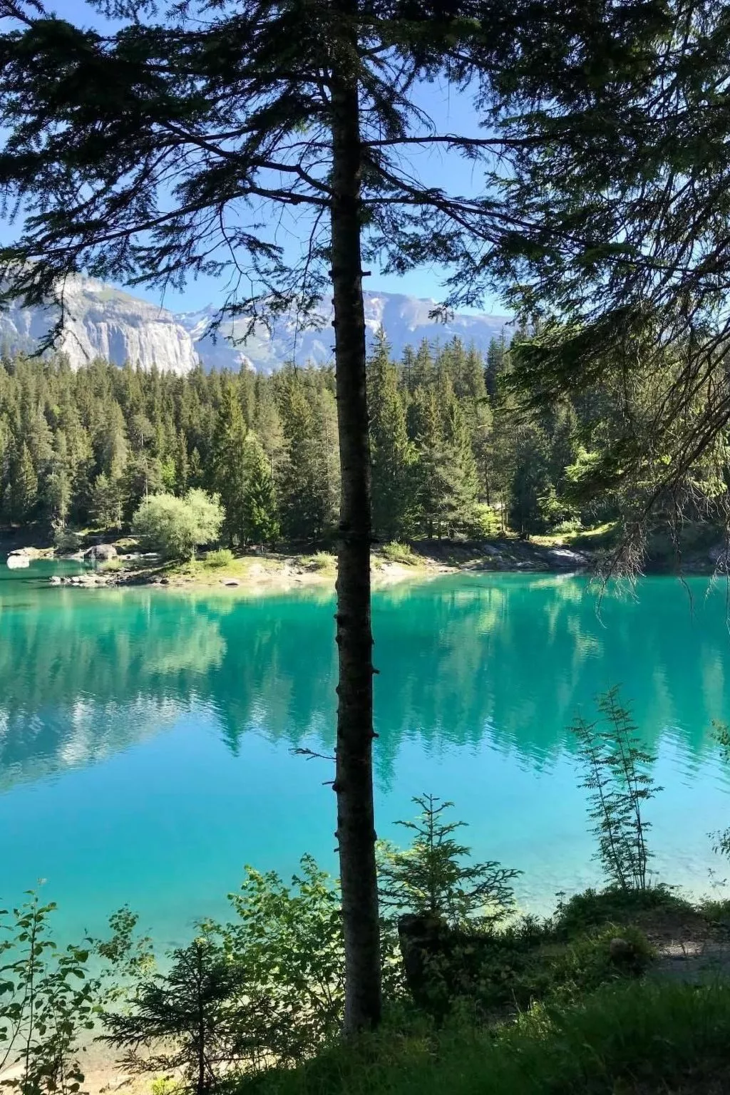 Flims Stenna SELVA direkt bei Bergbahnen Skipiste-Buiten