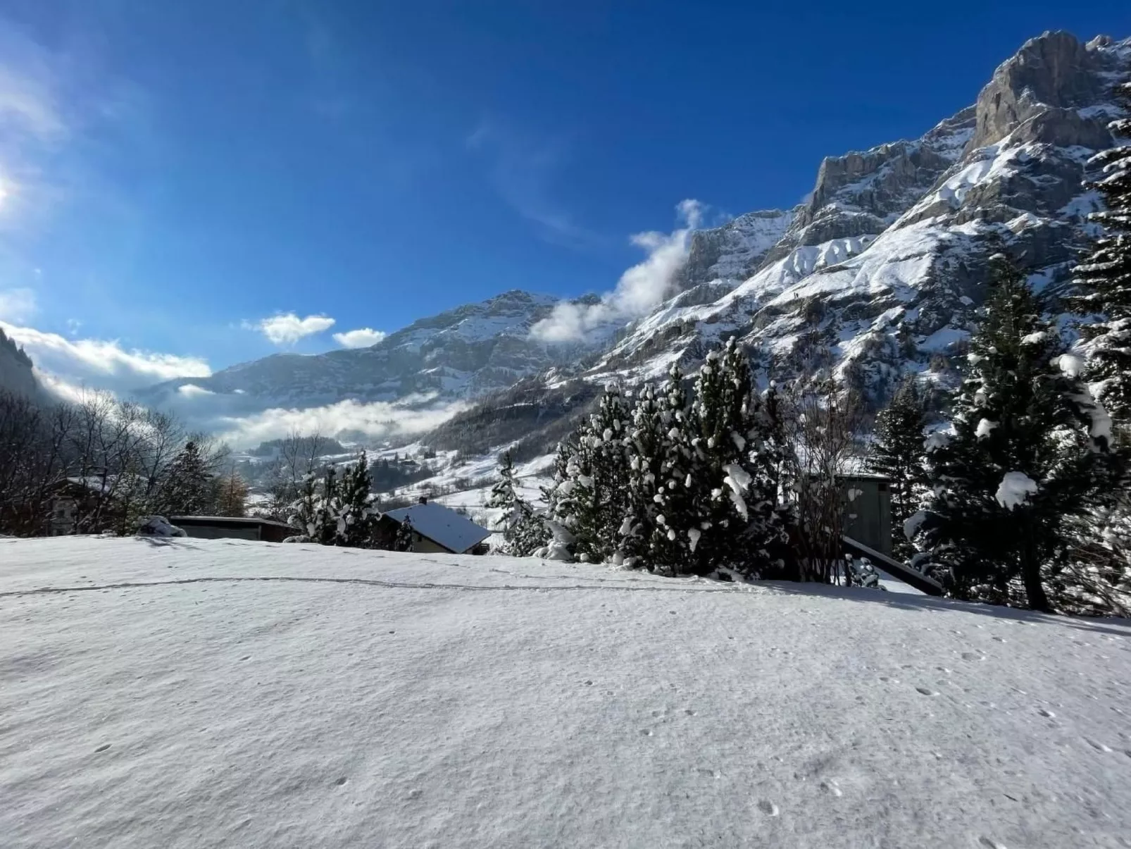 Tarbey 39-Image-tags.info