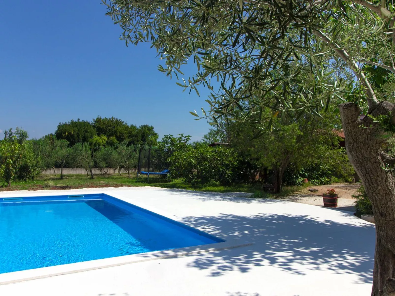 AQUA mit Pool-Image-tags.info