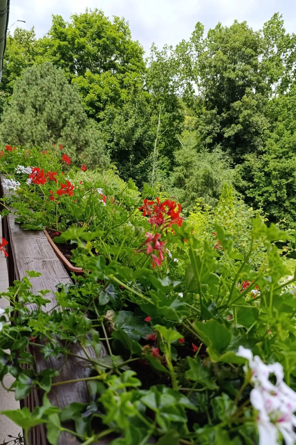 Wohnung Nr. 1-Buiten