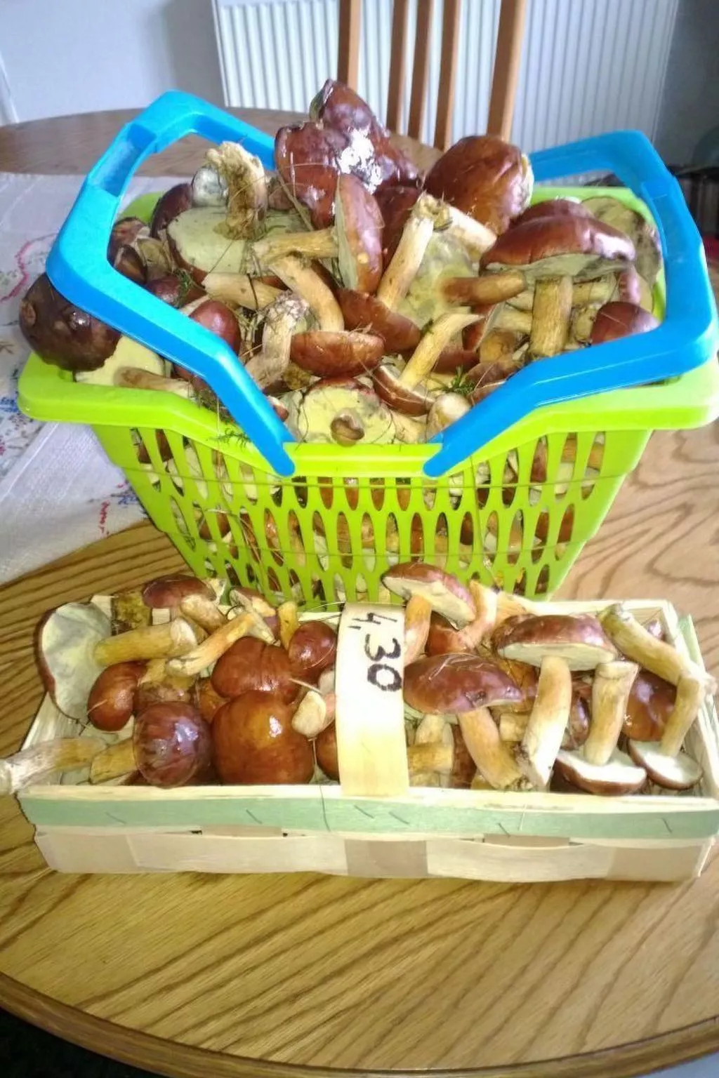 Am Apothekerberg-Image-tags.info