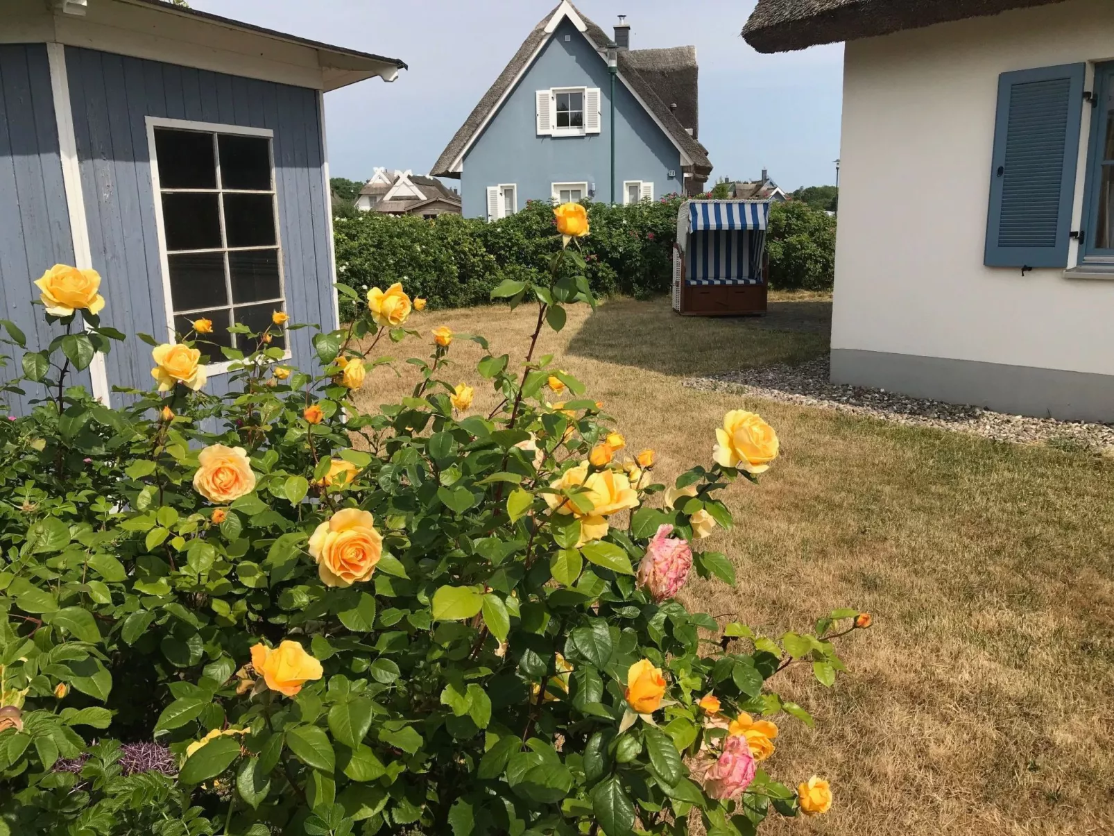 Kliff Königshörn-Image-tags.info