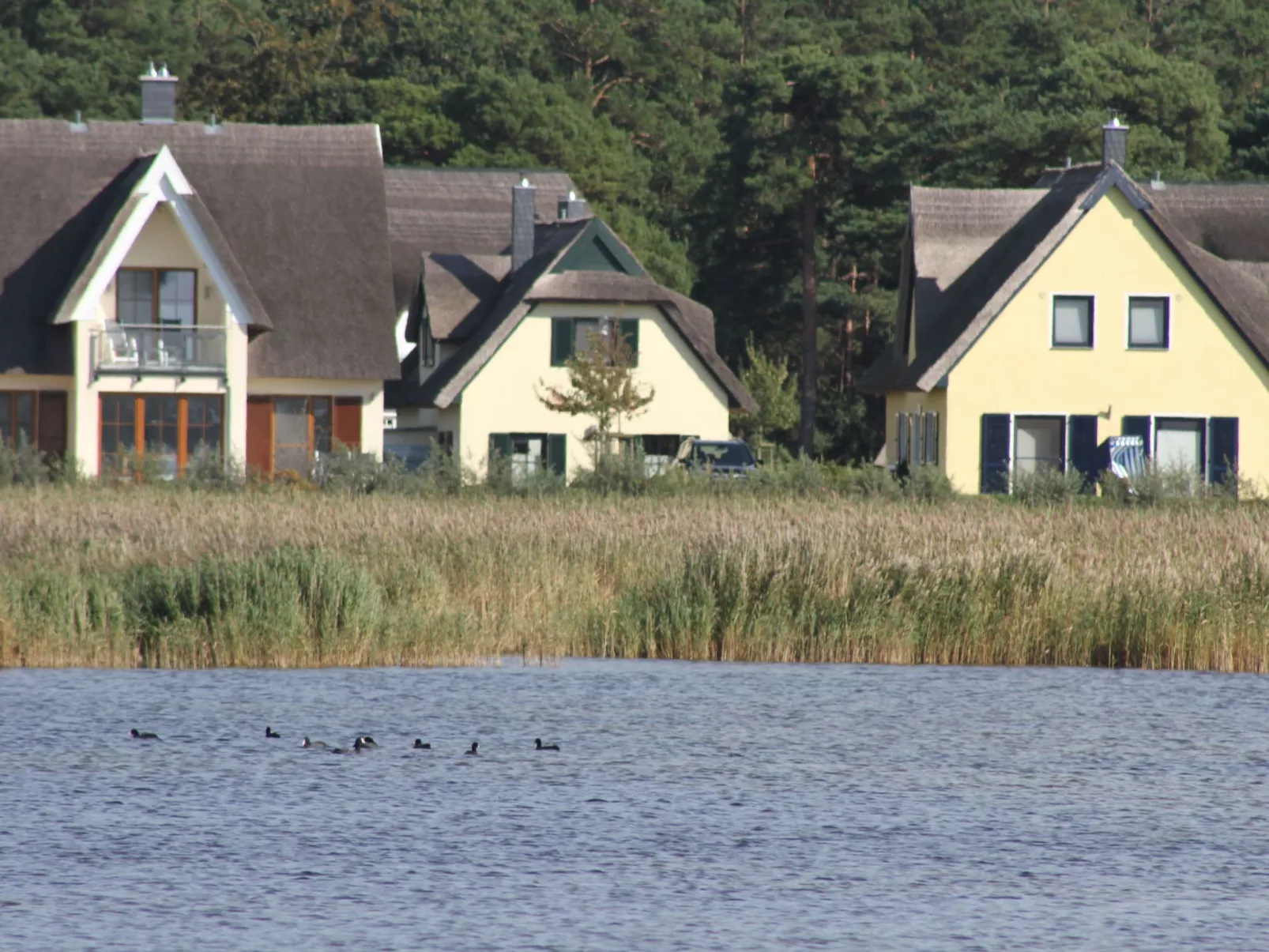 Reethaus Strandvogt-Buiten