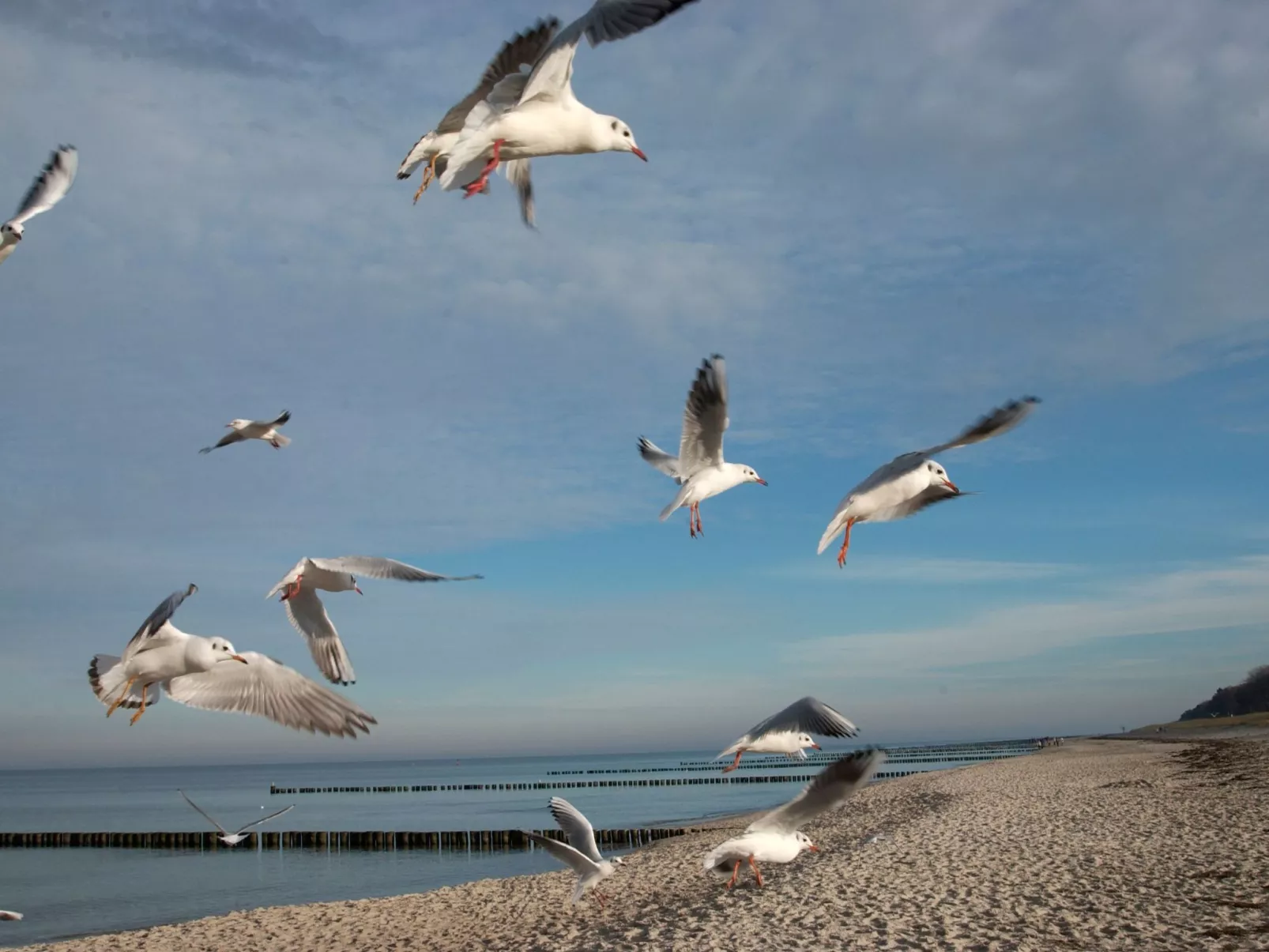 Admiral's Cor. Gulet-Buiten