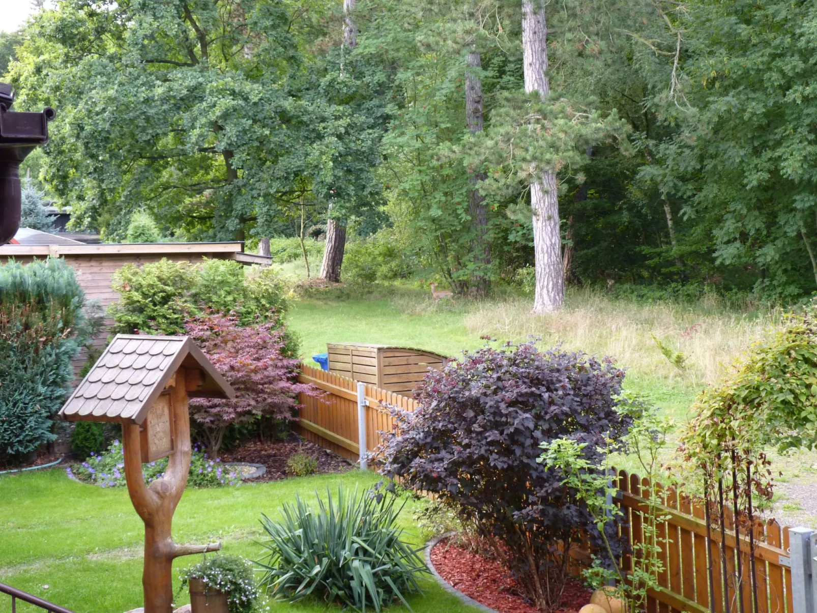 Gemütliches Appartement in Ottenhai mit Grill-Buiten