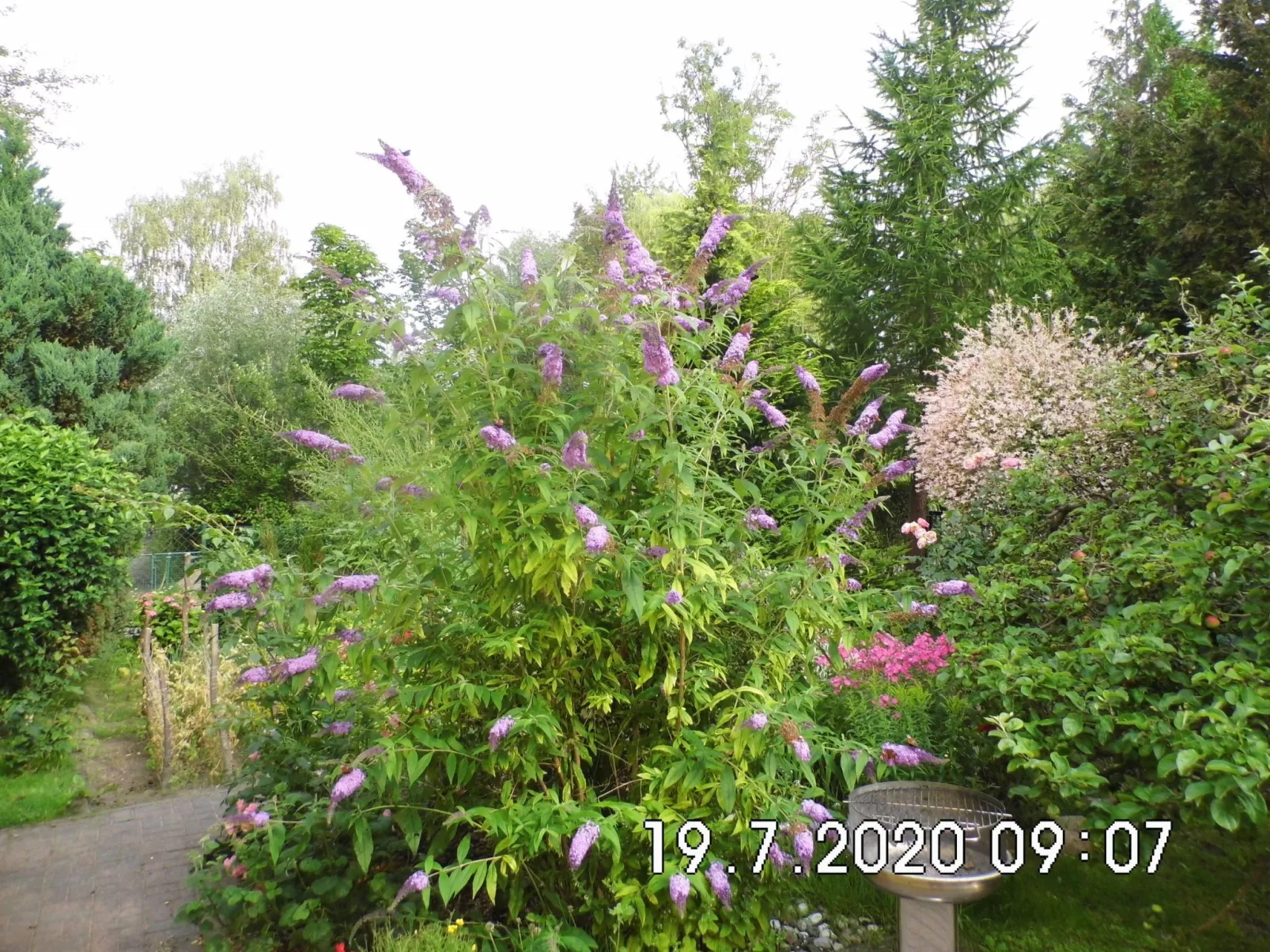 Am malerischen Nepperminer See-Buiten