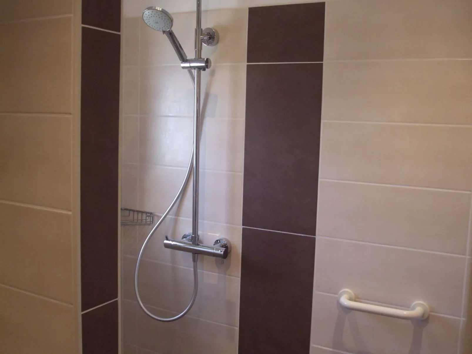 Seehase-Image-tags.info