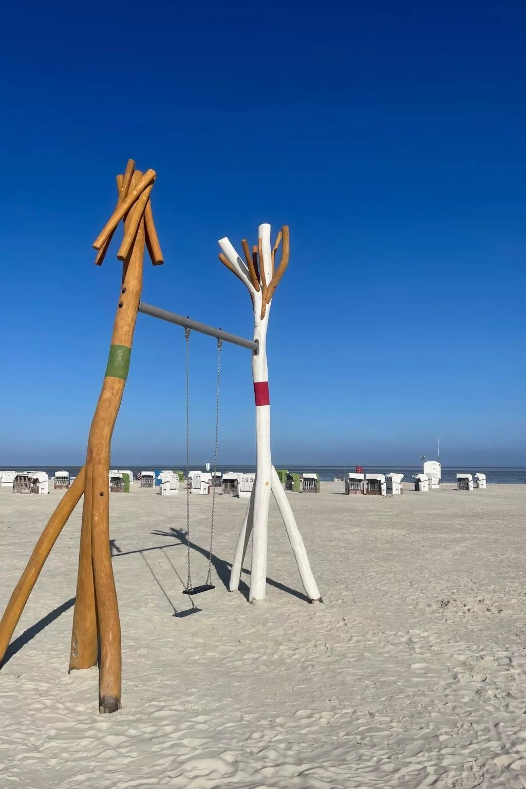 Seerobbe in Norden-Omgeving