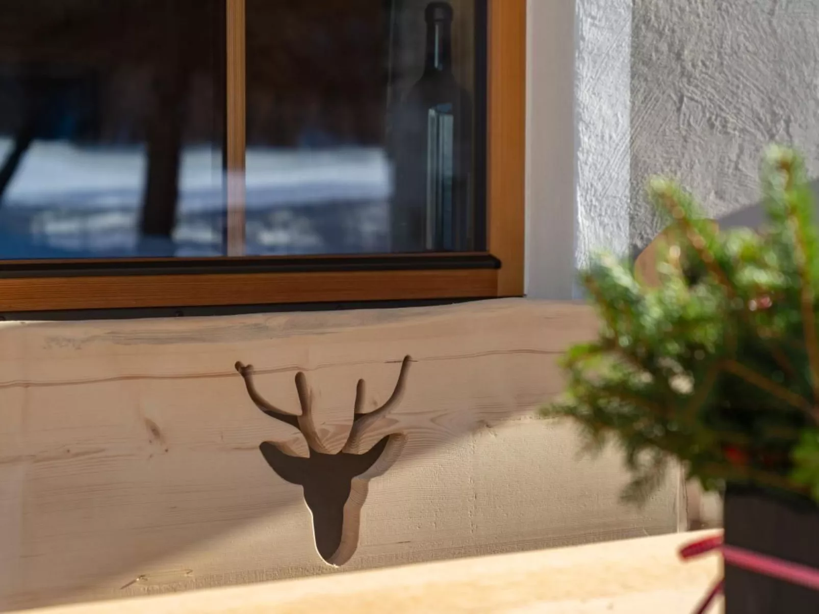 Engadin Chalet Apart-Buiten