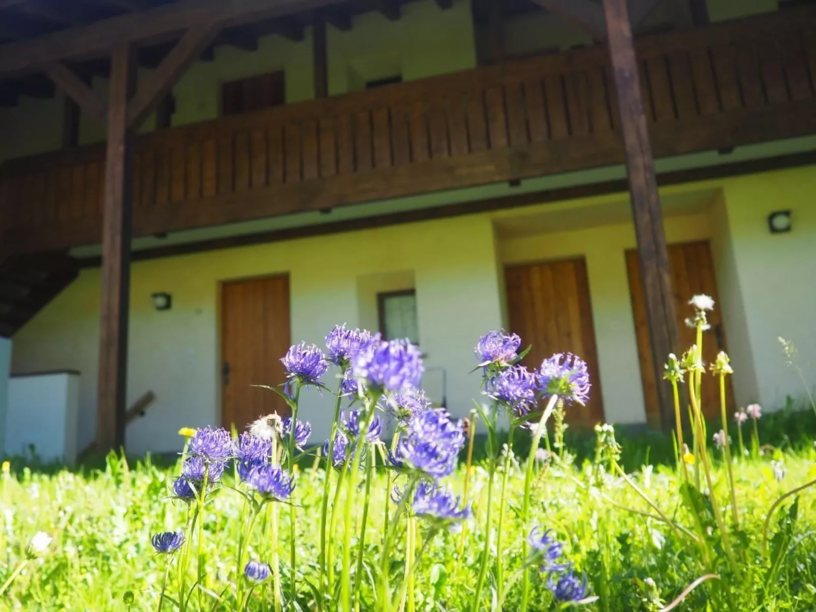Residenz La Mora 08 - Buiten