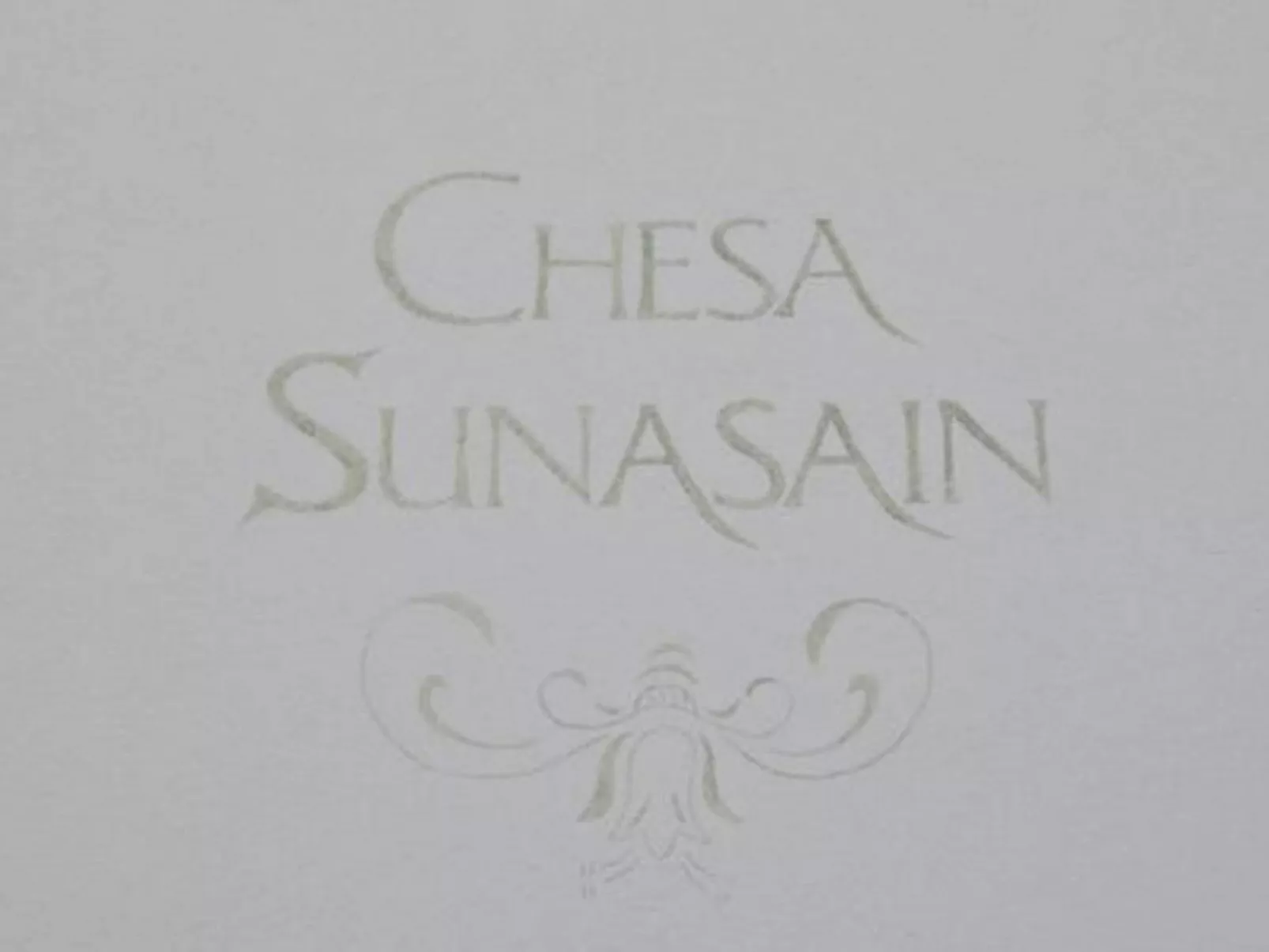 Chesa Sunasain V3-Binnen