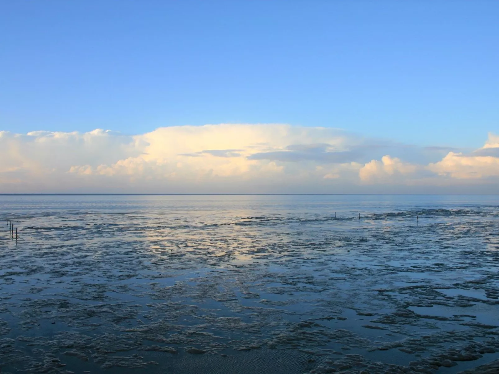 In Pilsum mit Großem Garten-Buiten