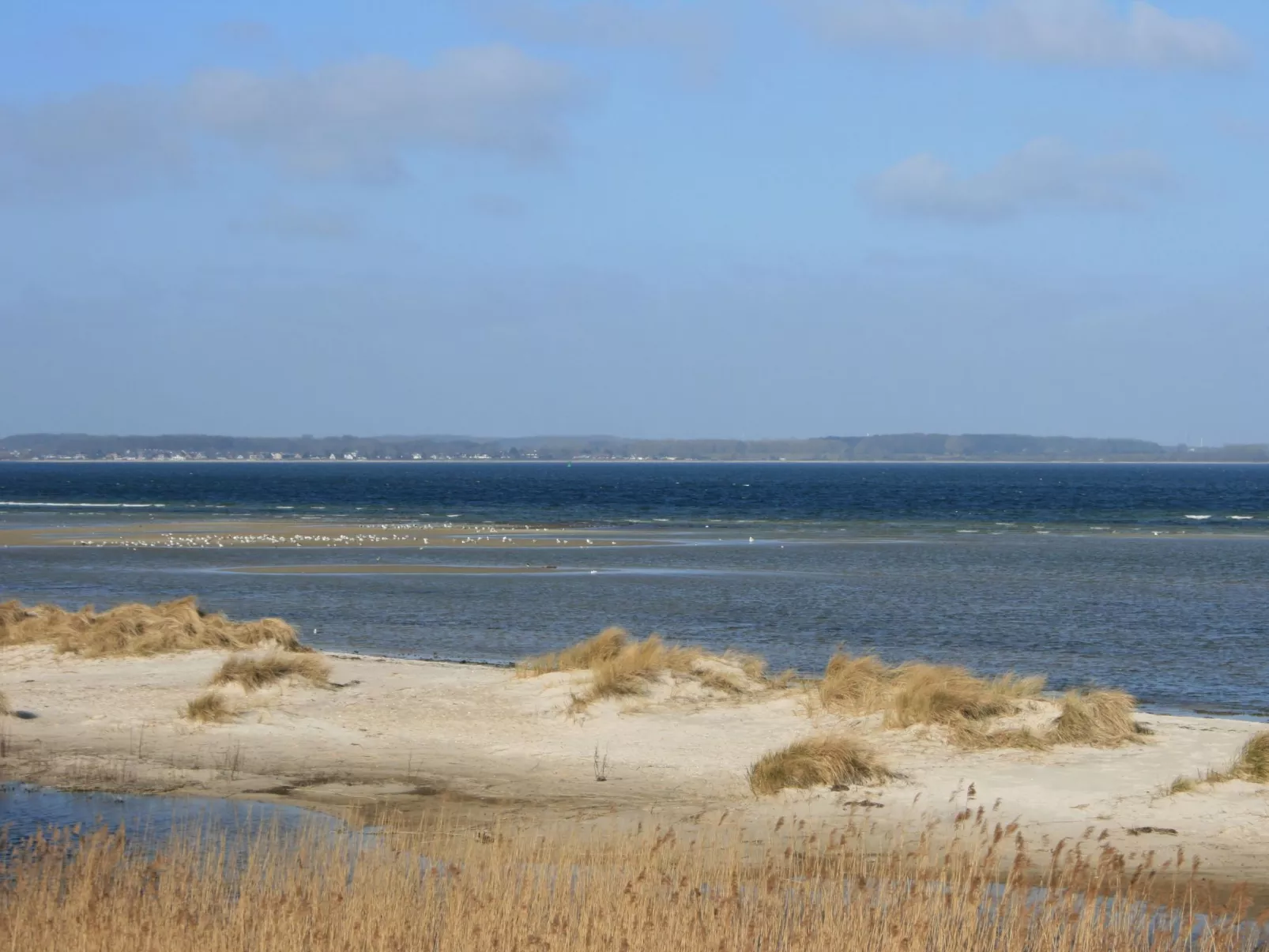 Tolle Ferienwohnung in Schönberger Strand-Buiten