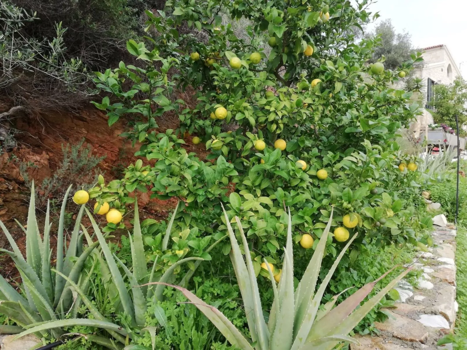 BIO-Energie-Villa Antonis-Binnen