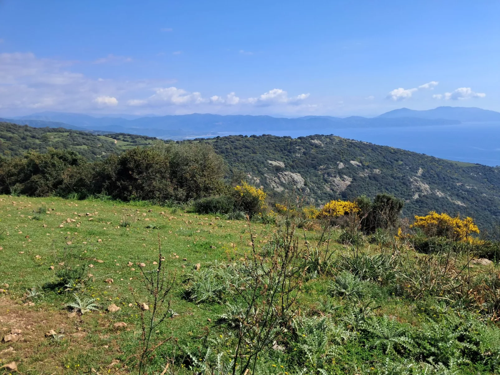 "Casa zinu" mit Blick aufs Meer - Buiten