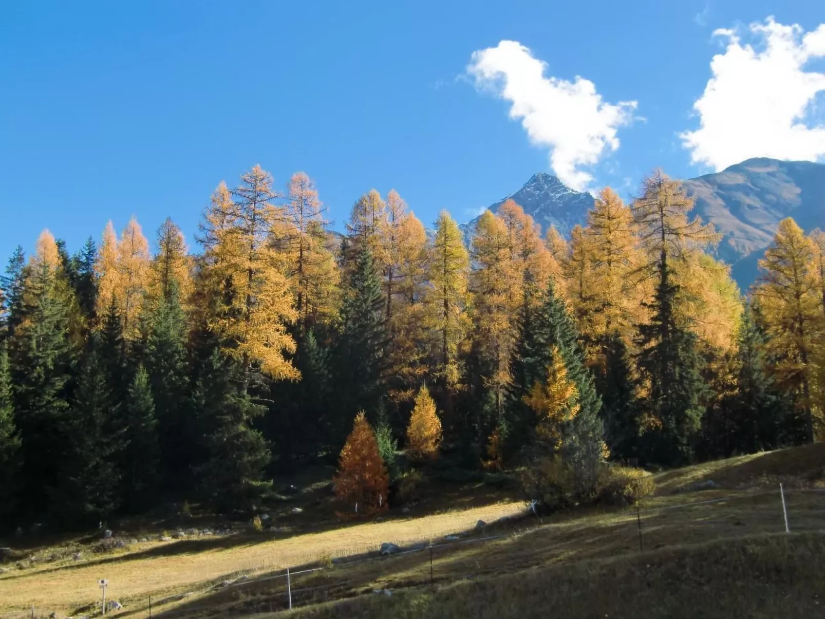 Chesa Piz d'Esan-Buiten