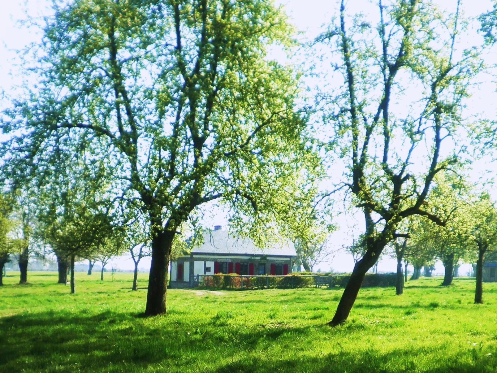 "La Petite Cauvinière"-Buiten