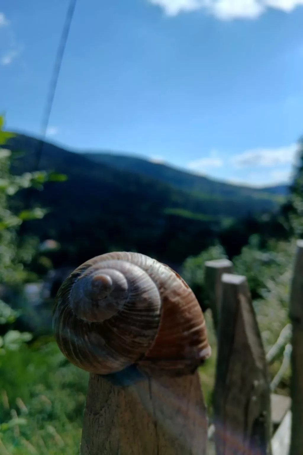 In Ventron mit eingezäuntem Garten-Image-tags.info