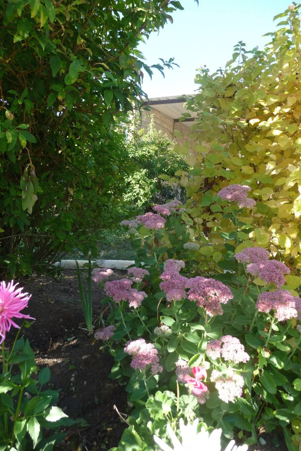 Domaine "Chez Marianne" mit Privatparkplatz-Buiten