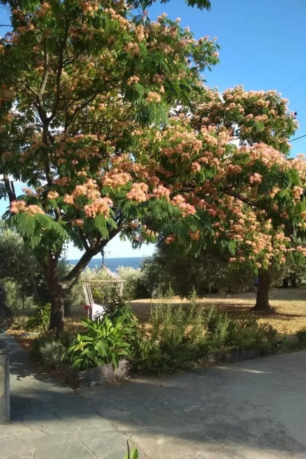 Olivia Sea Cottage-Buiten