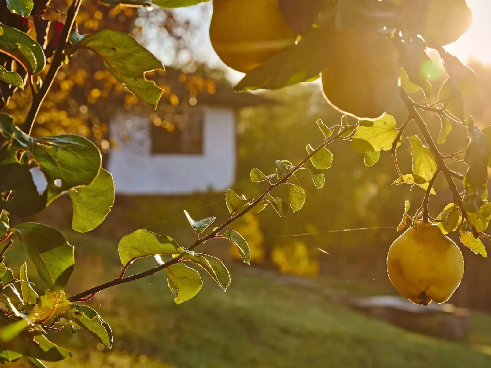 Authentisches Haus mit Bergblick - Karashka-Buiten