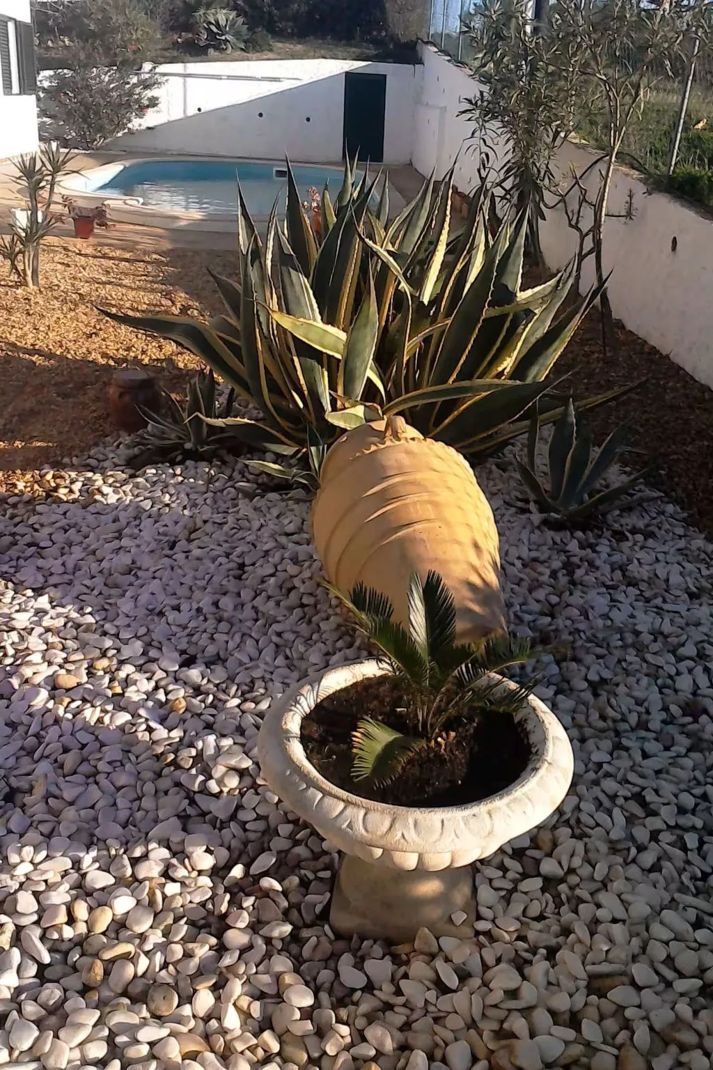 "brigitte" mit Pool-Buiten