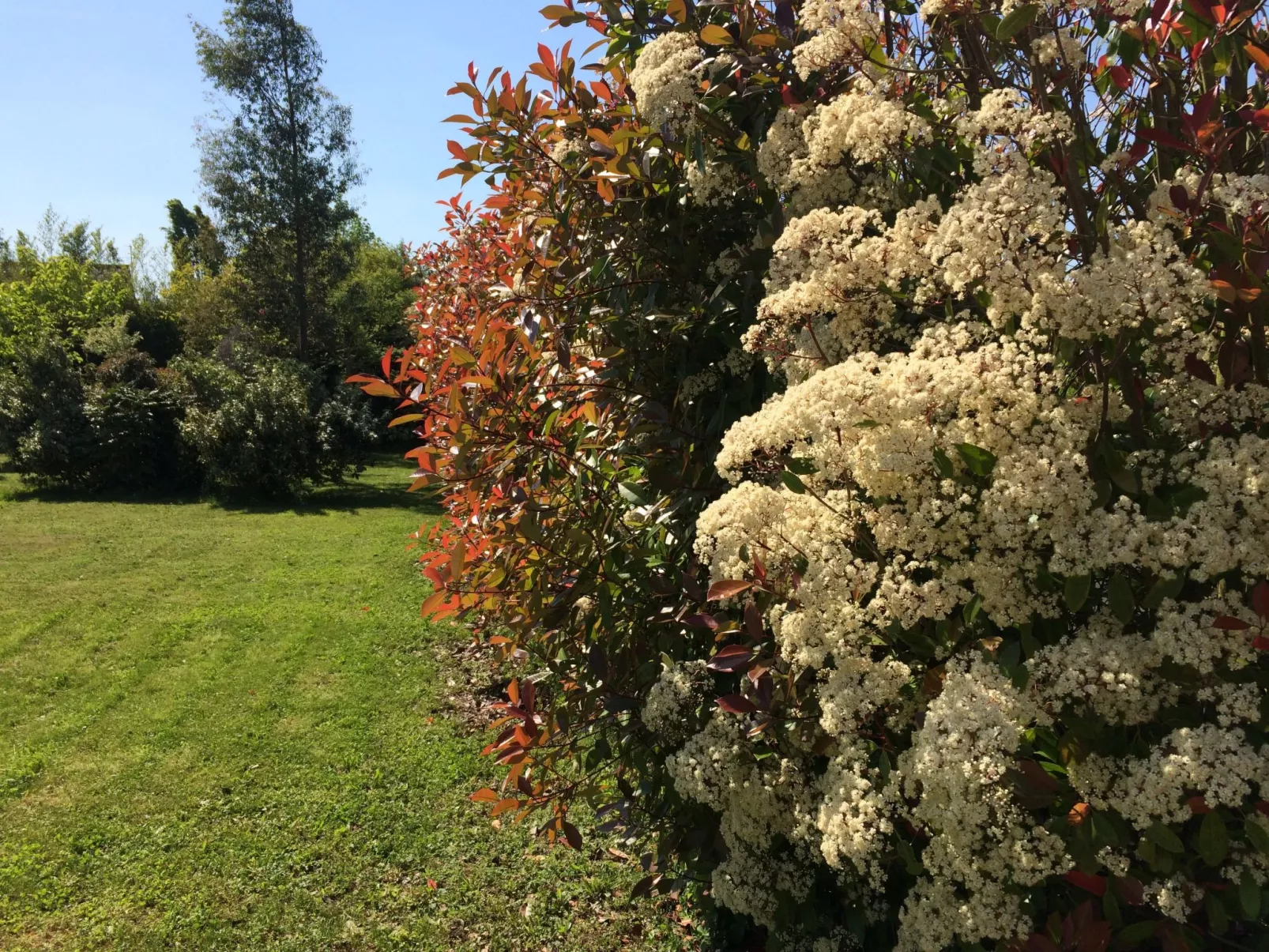 Landhaus La Villa Bolero-Image-tags.info