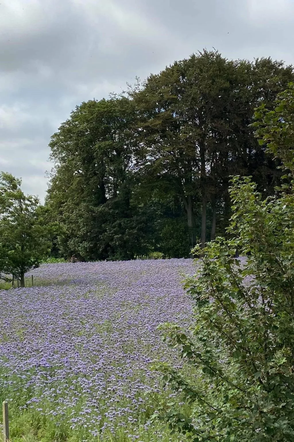 Charmante normannische Ferienwohnung les chataigniers 3 Zimmer-Buiten