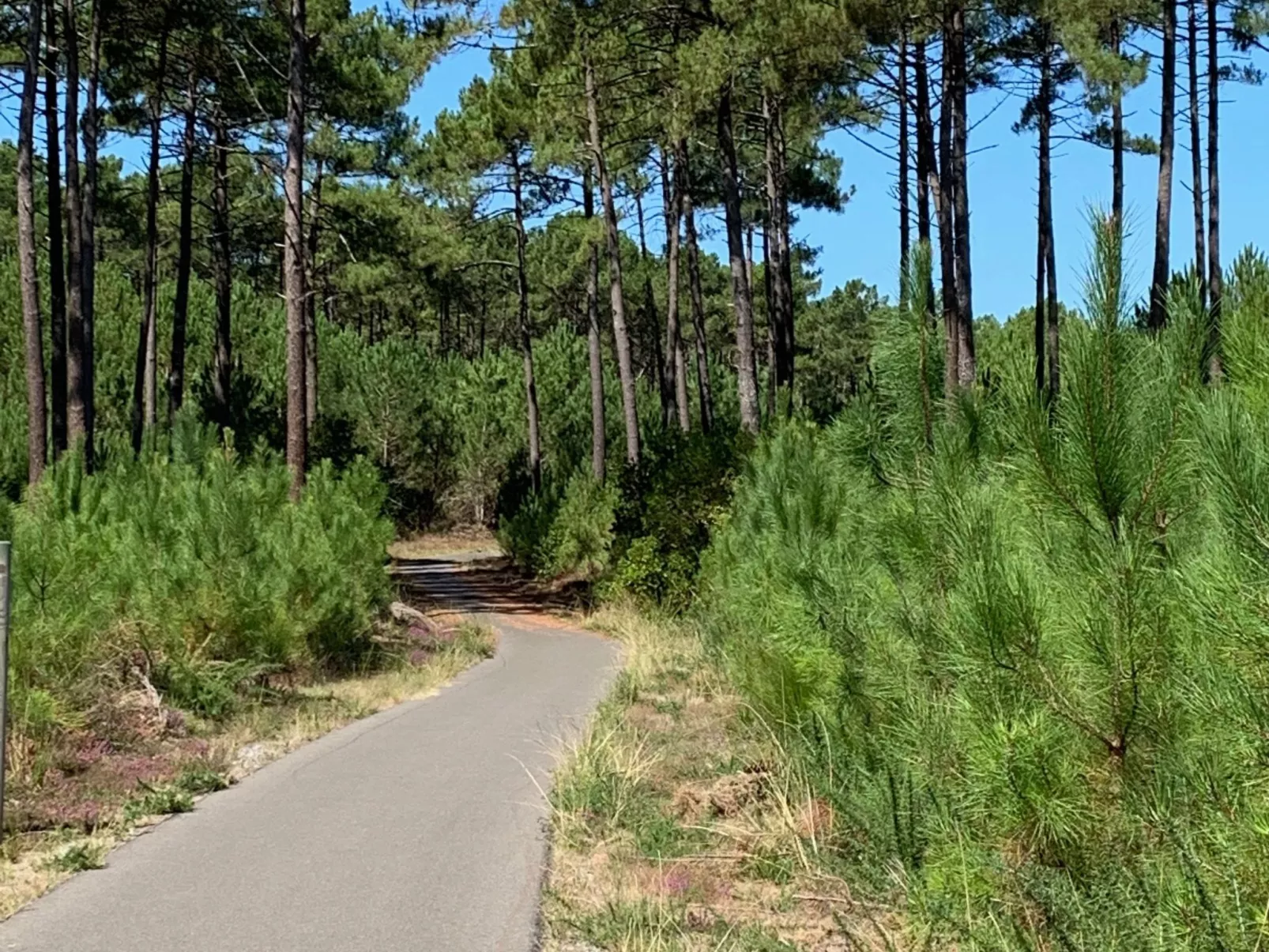 La Maison Pinède-Buiten